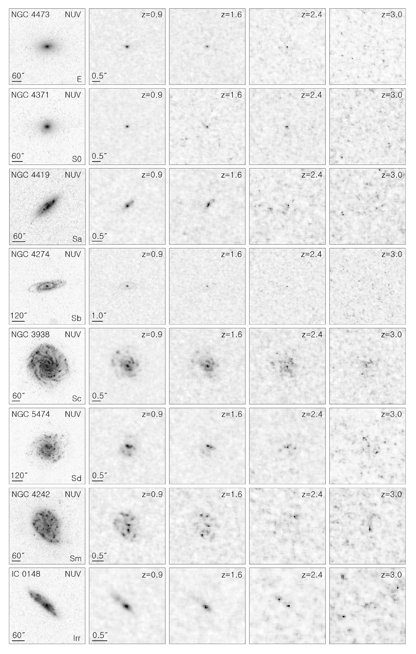 jass-34-183_F1